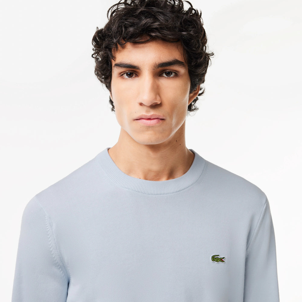 
                      
                        Lacoste sweater in Pale Blue color
                      
                    