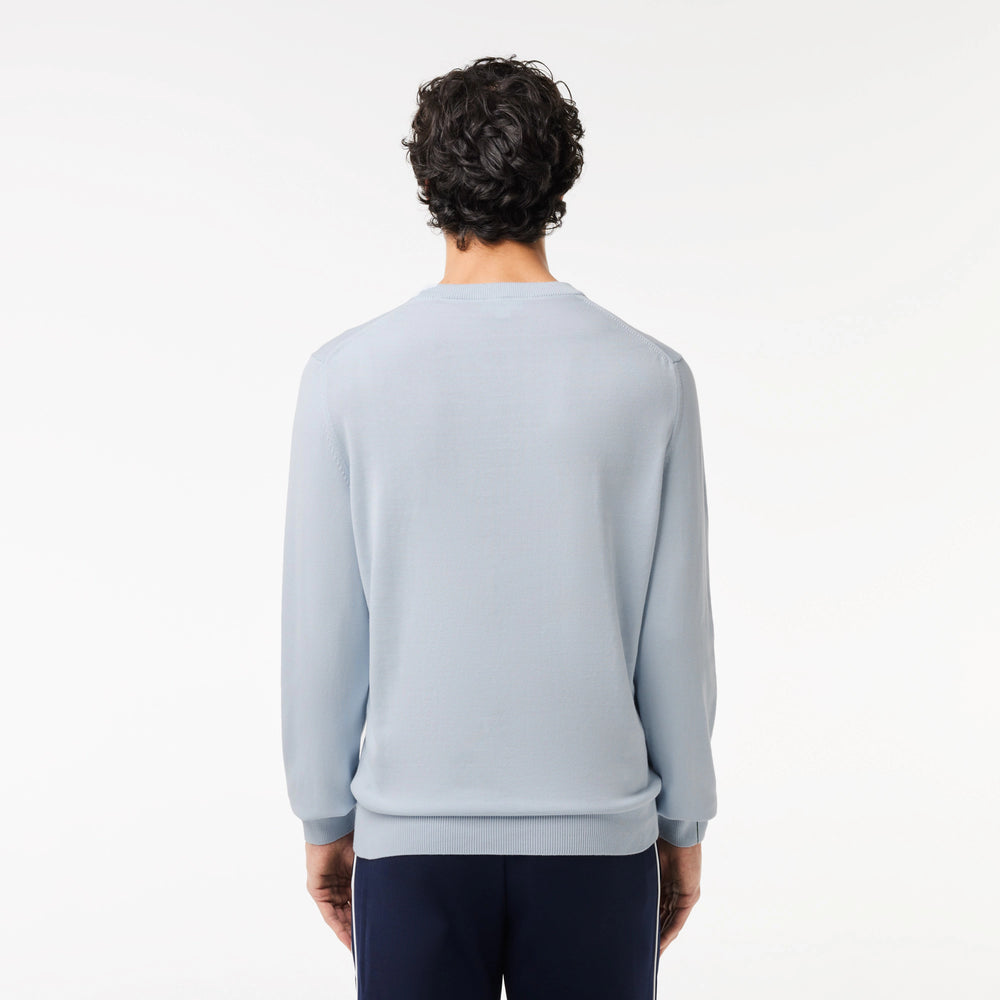 
                      
                        Lacoste sweater in Pale Blue color
                      
                    