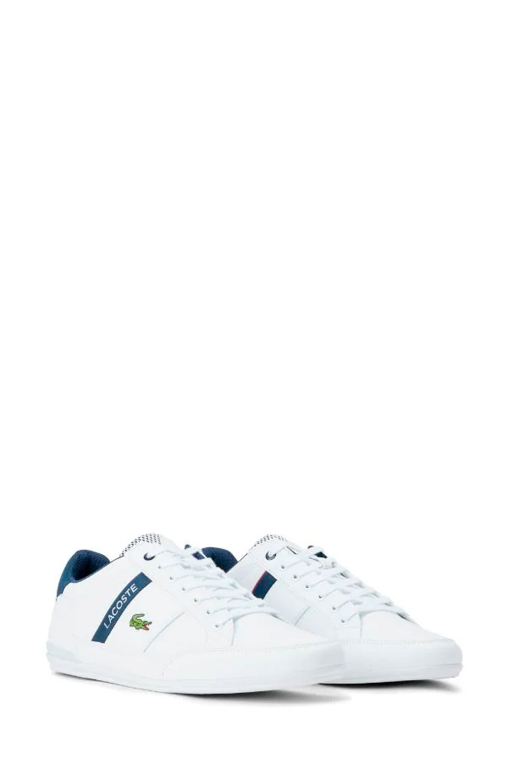 Soulier Lacoste de couleur Blanc