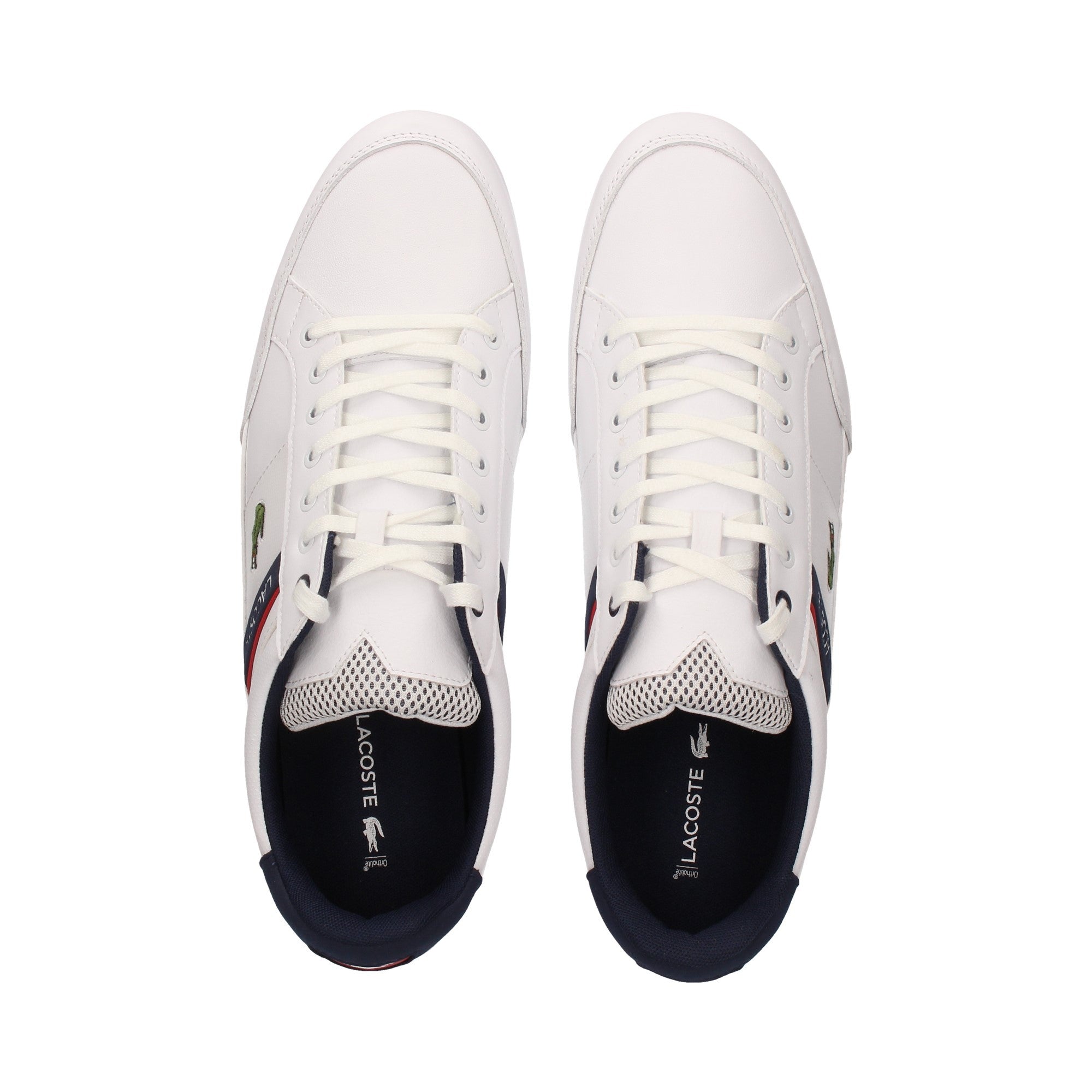 Soulier Lacoste de couleur Blanc