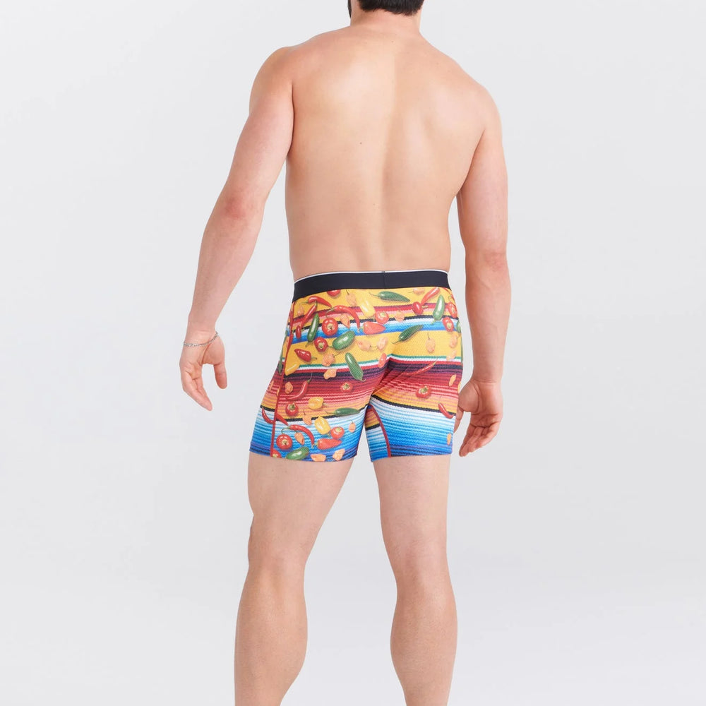 
                      
                        Saxx Underwear in Multi color
                      
                    