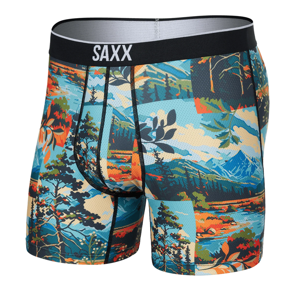 
                      
                        Boxer Saxx de couleur Multi
                      
                    