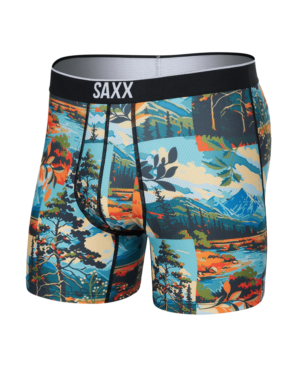 Boxer Saxx de couleur Multi