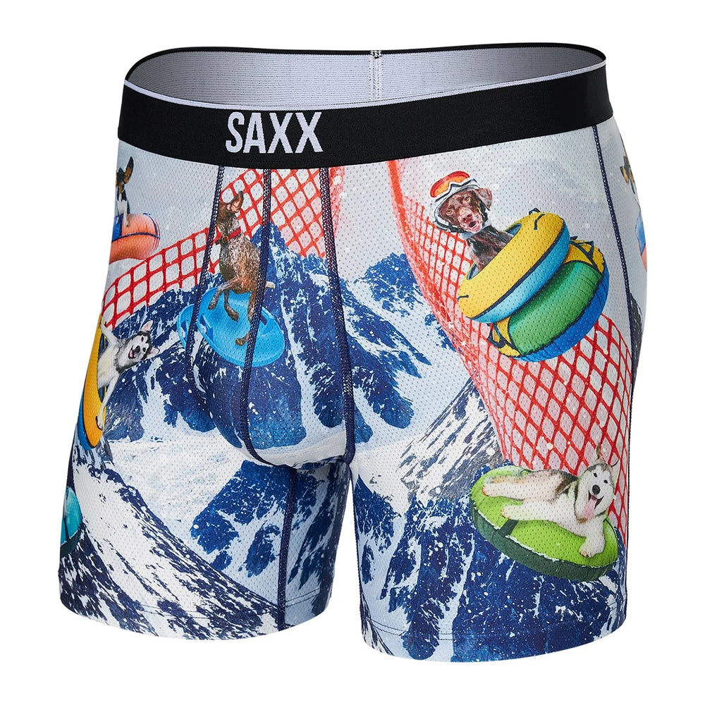 
                      
                        Saxx Underwear in Multi color
                      
                    