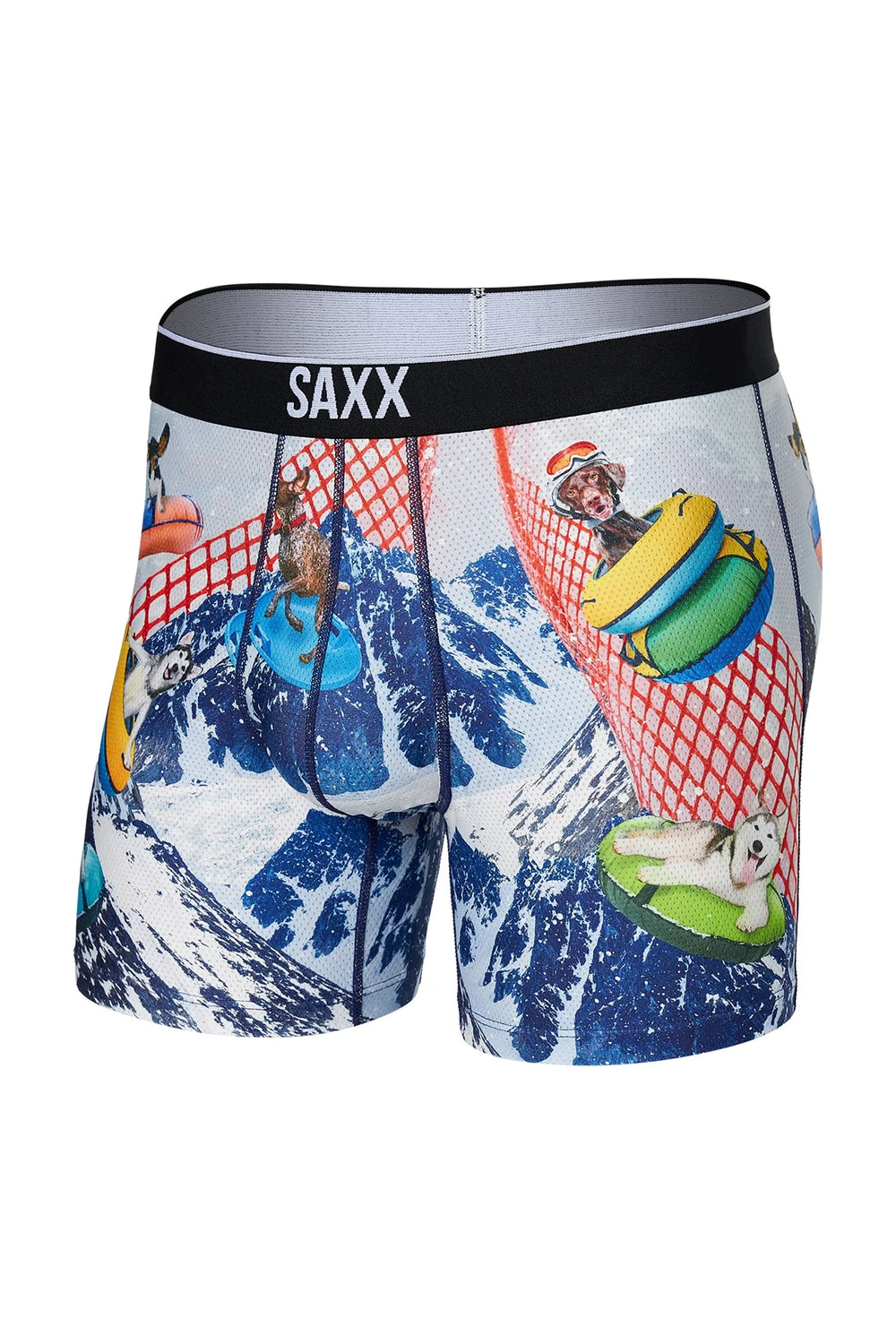 Saxx Underwear in Multi color